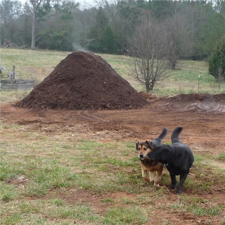Bear and Chet Compost 2013.jpg